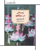 زمستان در سوکچو